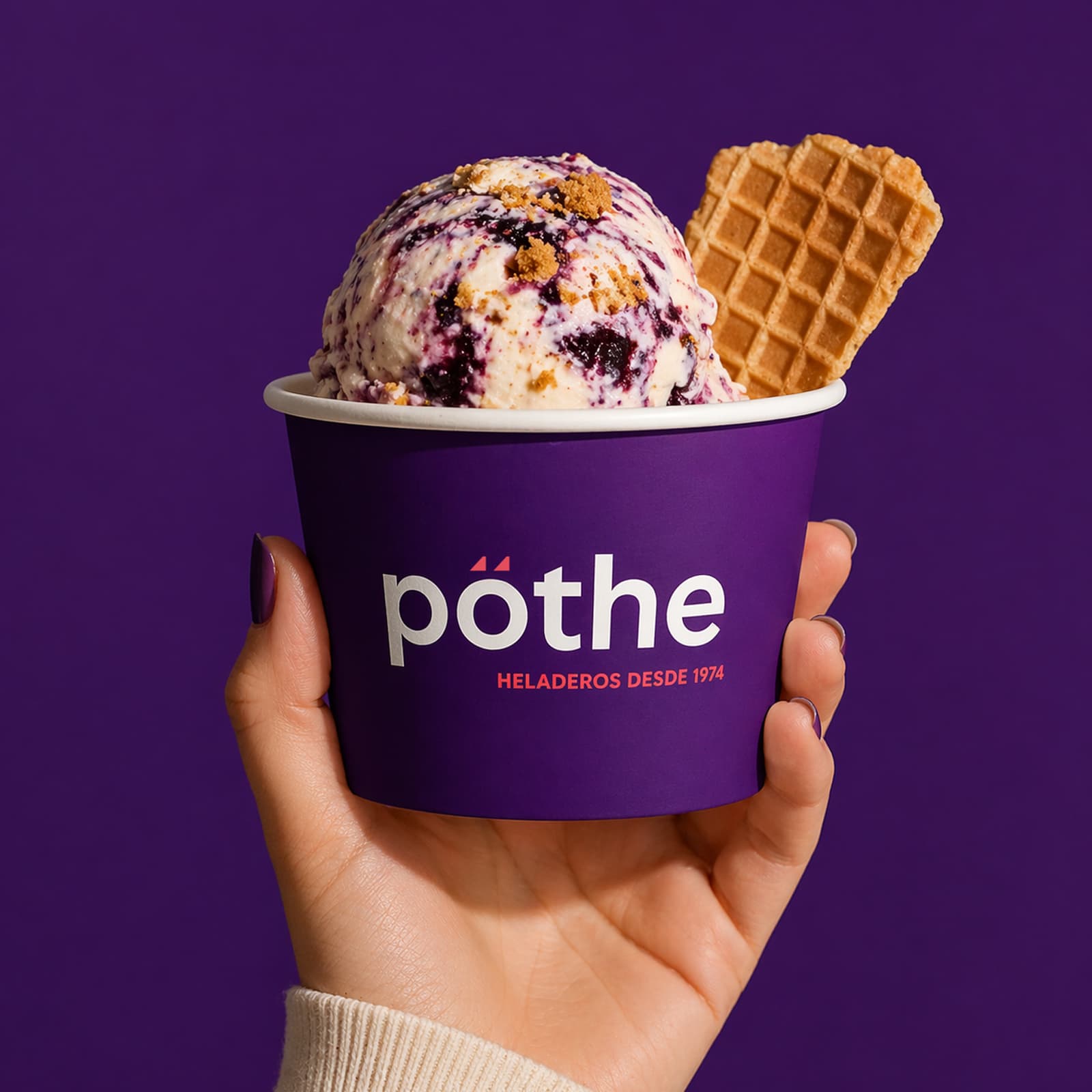 Detalle de tipografía y color aplicado al catálogo digital de productos